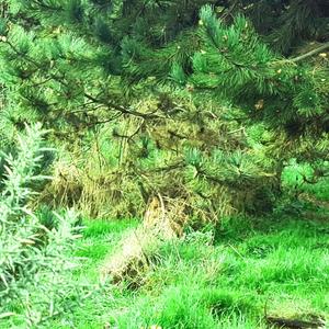 ˖.❁⋆･HTO･⋆✿.˖