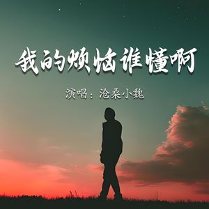 我的烦恼谁懂啊