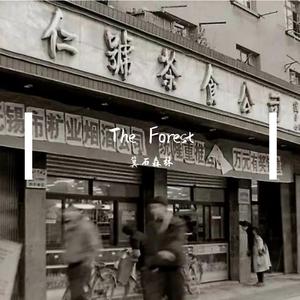 秦小雨（正常版）