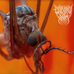 DELUSIONS OF GRANDEUR