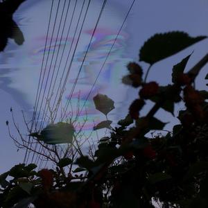 Elle (Prod by 嘉楠）