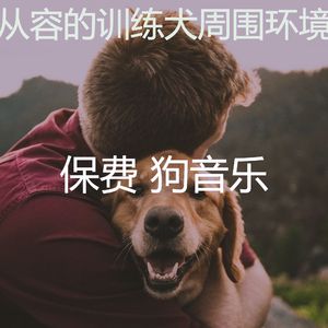 安静的幼犬声音