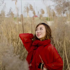 梨花飞情人泪