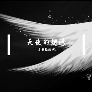天使的翅膀