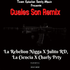 Cuales Son (Remix)
