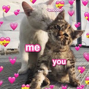 LOVE FOR YOU