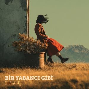 Bir Yabancı Gibi
