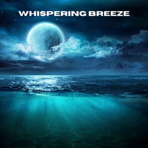 Serenade of Static (Loopable, No Fade)