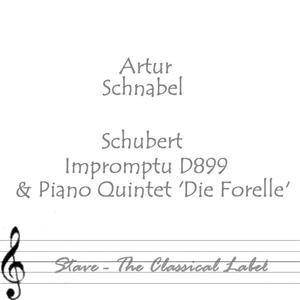 Schubert Impromptu D899 Op 90: No 3 In G Flat Major