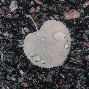 In My Last Day (Life Goes Faster Than You Think)