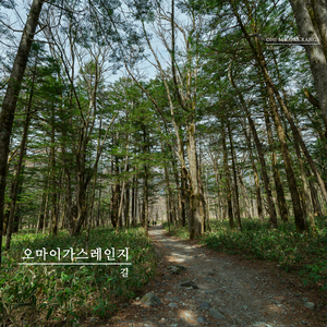 새로운 길을 떠나는 너에게