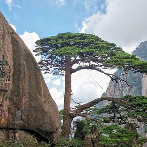 街灯闪烁着秘密