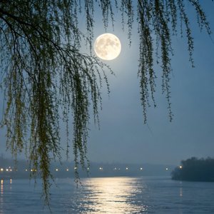 《潮落归岸四部曲》四·烟火归岸