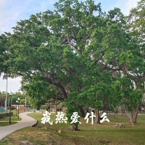 我热爱什么