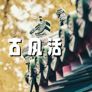 古风活跃