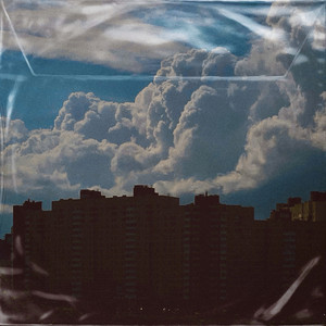 Birch Tree at the Entrance