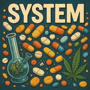 System