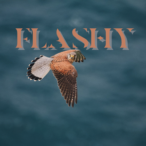 FLASHY