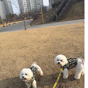 뚱이 모찌 왔습니다요