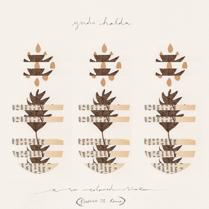 A Sun-Coloured Shaker [Prefuse 73 remix]