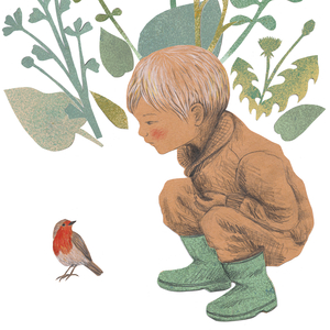 Roodborstje Tikt Tegen 't Raam