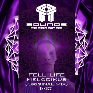 Fell life (Original Mix)