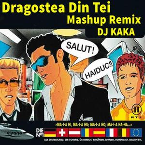Mr.kaka-Dragostea Din Tei (DJ kaka Mashup Remix)（Mr.kaka remix）