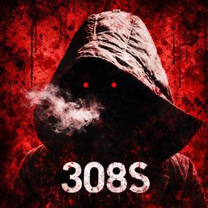 308s