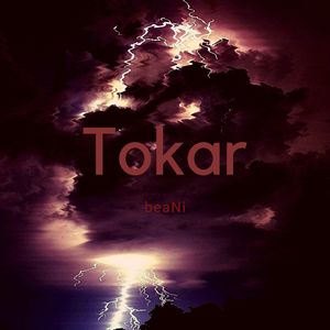 Tokar