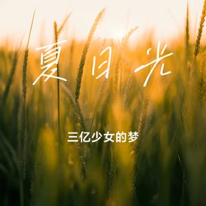 夏日光