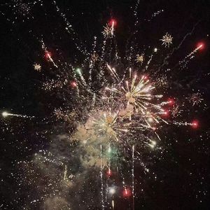 春风十里报新年