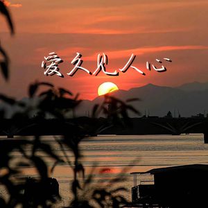 爱久见人心（2024继续爱）