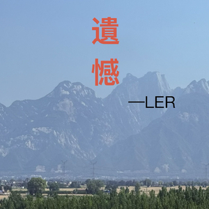 遗憾