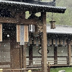 若  钢琴曲  周生如故