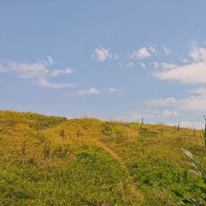 所有回忆在暖阳下死去