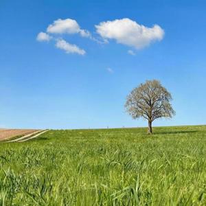 兰花指（微醺 R&B 版）