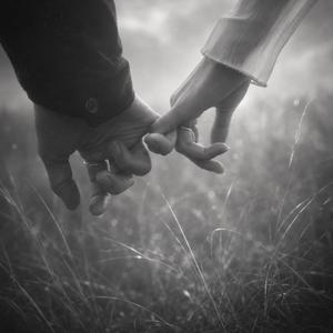 Tender