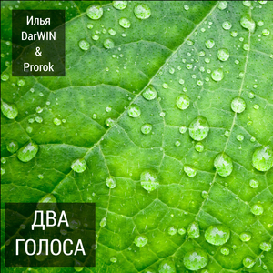 Мотивация
