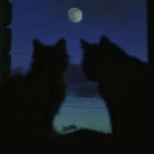 Liquid（流动的时光）