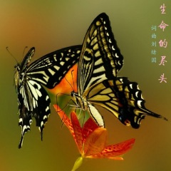 生命的尽头 (女高音激情版)