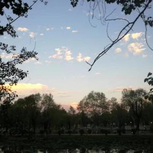 十一月的某一天（Un Dia de Noviembre）