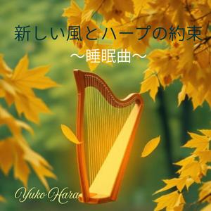 静寂に満ちる森の午後