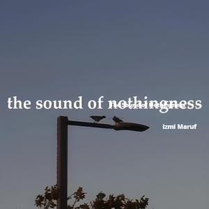 The Sound of Nothingness