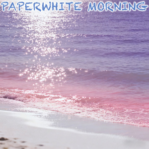Paperwhite Morning