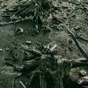 The Inversed Revelation