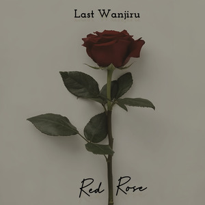 Red Rose