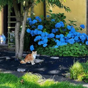 当年我一首另类曲