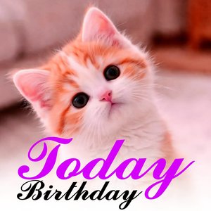 Birthday Boom Boom (Giggle Party)