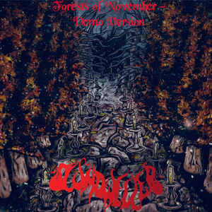 Shadowrise (Demo Version)