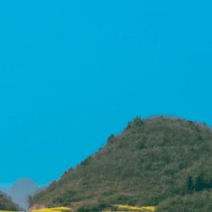 这一生关于你的风景